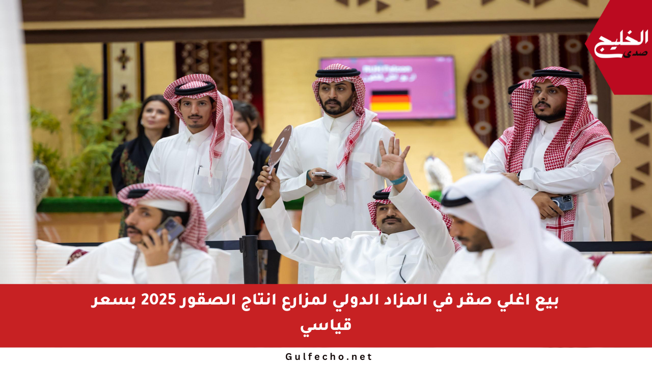 بيع أغلى صقر في المزاد الدولي لمزارع إنتاج الصقور 2025 بسعر قياسي